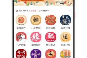 2025蛇年最新修复版运营级周易测算网源码